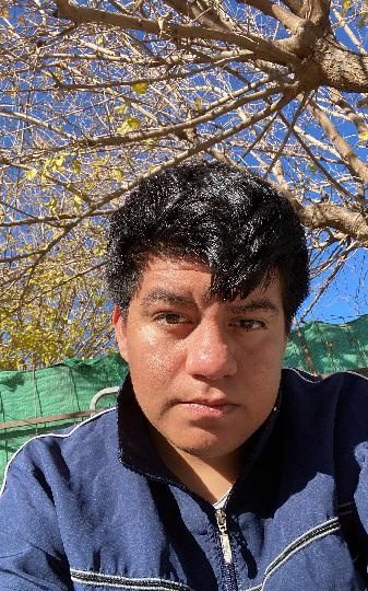 ACTIVO DE 19 LATINO EN TOTANA