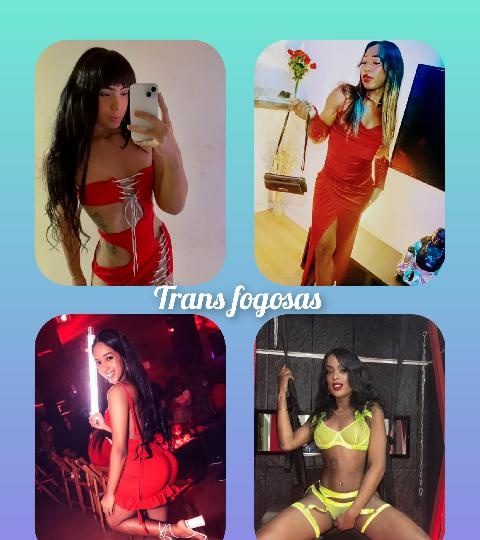 AMIGAS VICIOSAS DEL SEXO Y FIESTERA SALIDAS DESDE 100€ EN VALENCIA