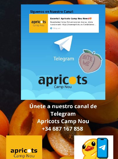 APRICOTS CAMP NOU DESDE TU SMARTPHONE! EN BARCELONA
