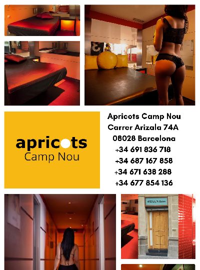 APRICOTS CAMP NOU, EL PLACER JUEGA EN CASA EN BARCELONA