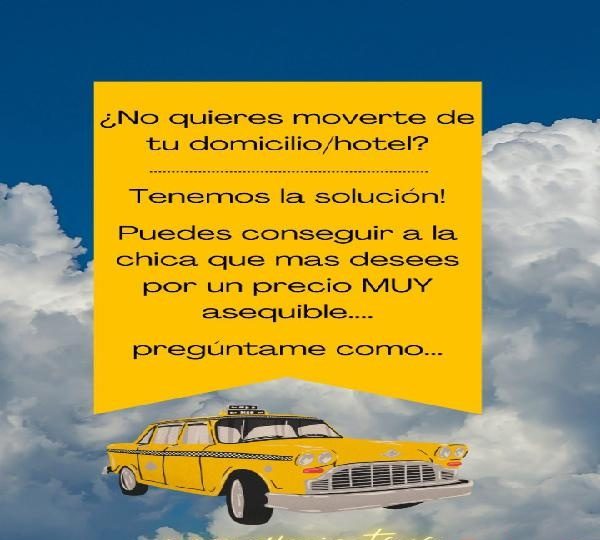 APRICOTS CENTRO SALIDAS EN BARCELONA