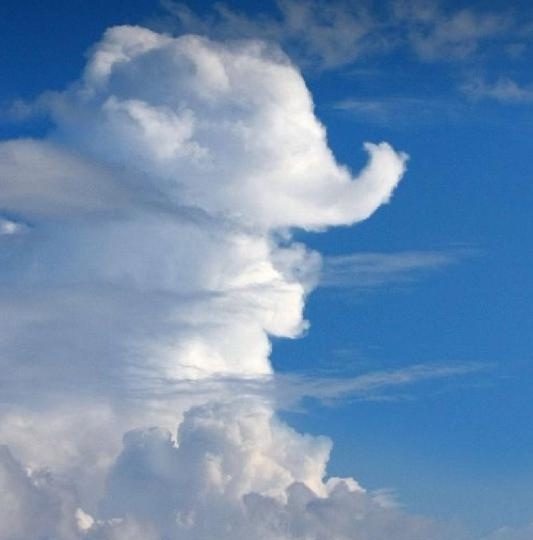 ASISTENCIA SEXUAL, SEXO GUIADO, PROMISCUIDAD ÉTICA EN ESPAÑA