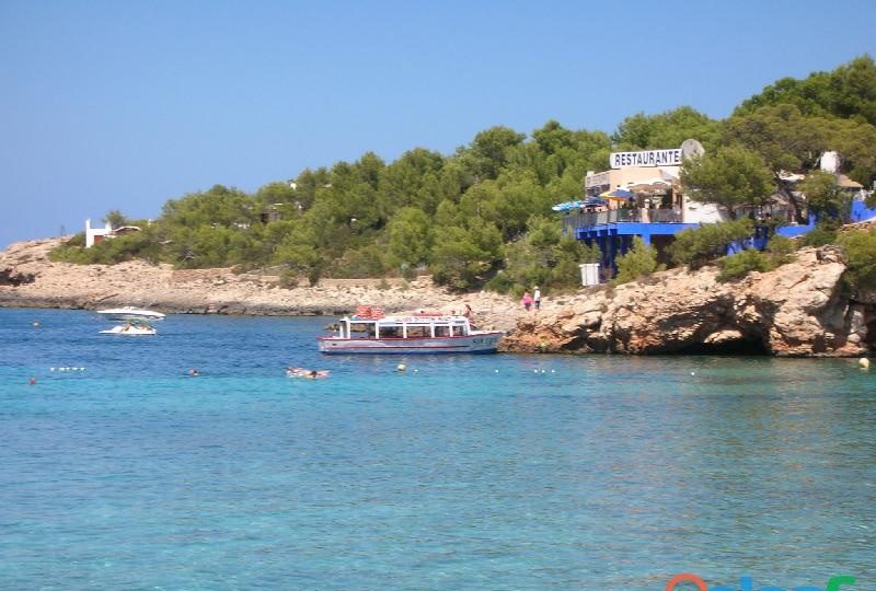 BUSCAMOS ALQUILAR CABALLO PARA SESION FOTOGRAFICA EN VALENCIA