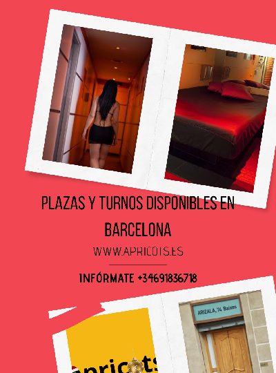 BUSCAS ALTOS INGRESOS? NO TE LO PIENSES MAS EN ESPAÑA