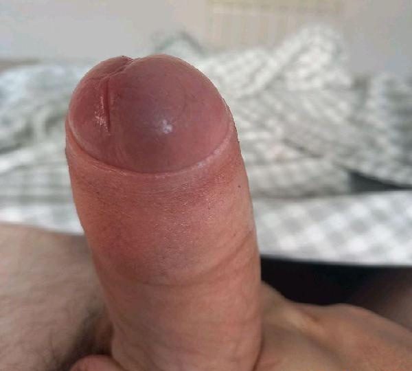 BUSCO CDS Y FEMBOYS EN CASTELLÓN DE LA PLANA