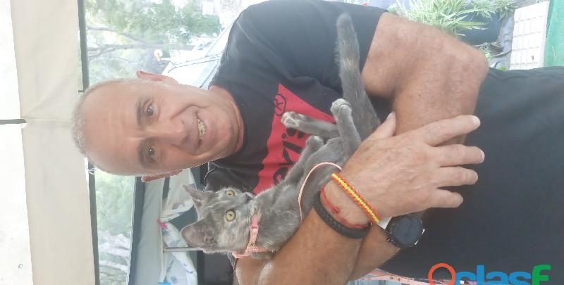 BUSCO CHICA MADURA ATREVIDA Y MORBOSA EN ALBACETE