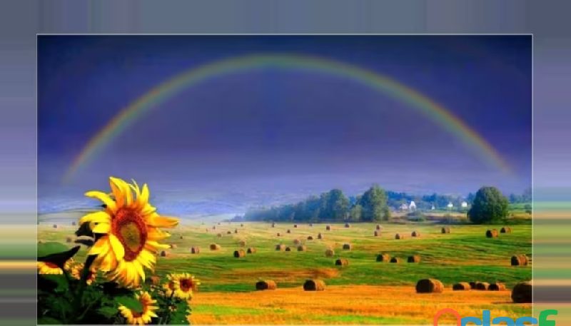 BUSCO CHICA QUE LIMPIE MI CASA DESNUDA EN AJALVIR