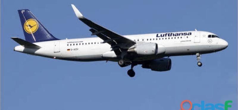 BUSCO COMPAÑERA DE VIAJE PARA PLAZA EN SUIZA EN ESPAÑA