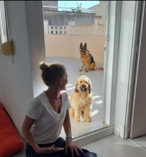 BUSCO HOMBRE MADURO POTENTE EN MALLORCA