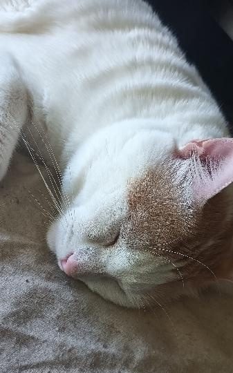 BUSCO MUJER A HORA EN OVIEDO EN OVIEDO