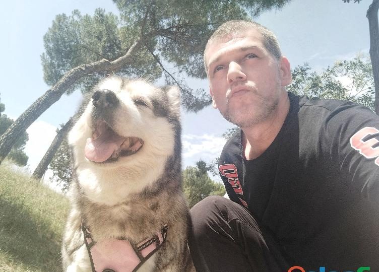 BUSCO MUJER PARA GRABAR PORNO EN MADRID