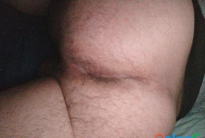 BUSCO OSO MADURO DOMINANTE EN ESPAÑA