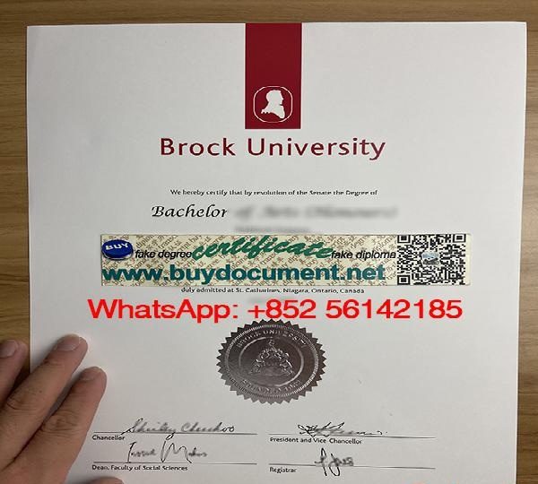 BUY A BROCK UNIVERSITY DIPLOMA EN ESPAÑA