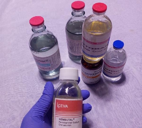 BUY NEMBUTAL PENTOBARBITAL ONLINE WHATSAPP# +44 7931 491607 PENTOBARBITAL FOR SALE ONLINE EN SANT JAUME D'ENVEJA