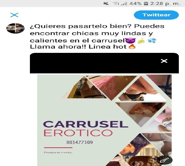 CARRUSEL CON PUTITAS MUY CACHONDAS EN BRUNETE
