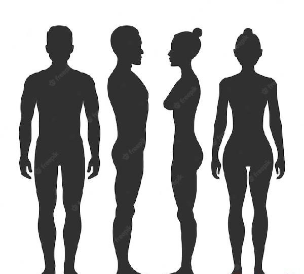 CHICA QUE ME ACOMPAÑE A DIVERNIS EN MADRID