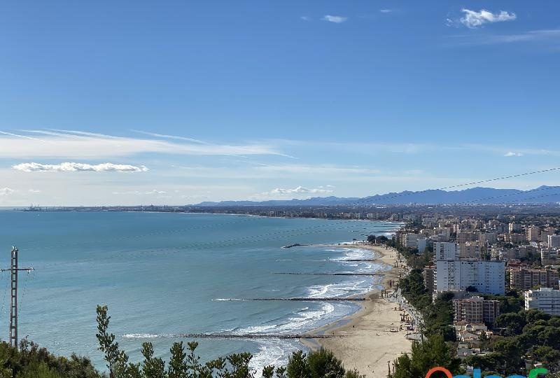 CHICO JOVEN DE 26 AÑOS NUEVO EN CABANES CASTELLÓN