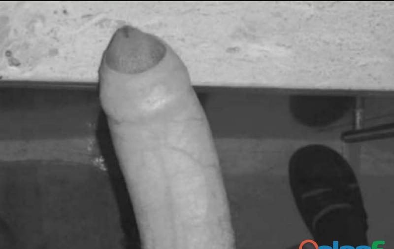 CHICO UNIVERITIARIO PARA PAREJAS O CHICA ( ASTURIAS) EN AVILÉS