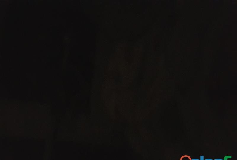 CIPOTON25CM Y TENGO 18 AÑOS EN ESPAÑA