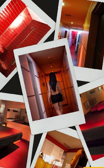 ¿CONOCES APRICOTS CAMP NOU? ¿A QUÉ ESPERAS PARA VENIR? EN BARCELONA