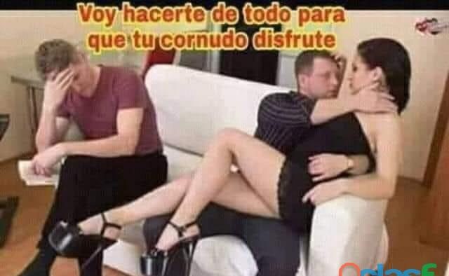 CORNEADOR BUSCA A CORNUDO CON ZORRA (EN ZARAGOZA) EN ZARAGOZA