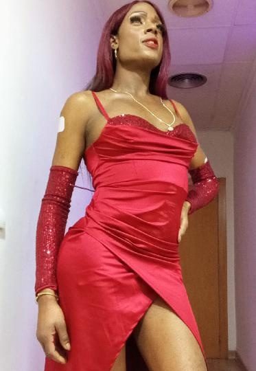 CUERPO DE BARBIE Y MIEMBRO DE CABALLO EN VALENCIA