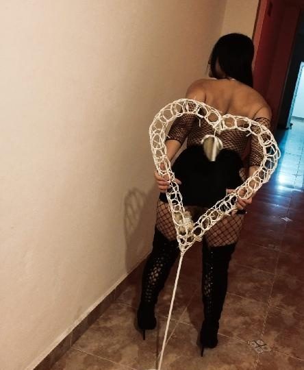 DAME EN 4 PATITAS EN VALENCIA