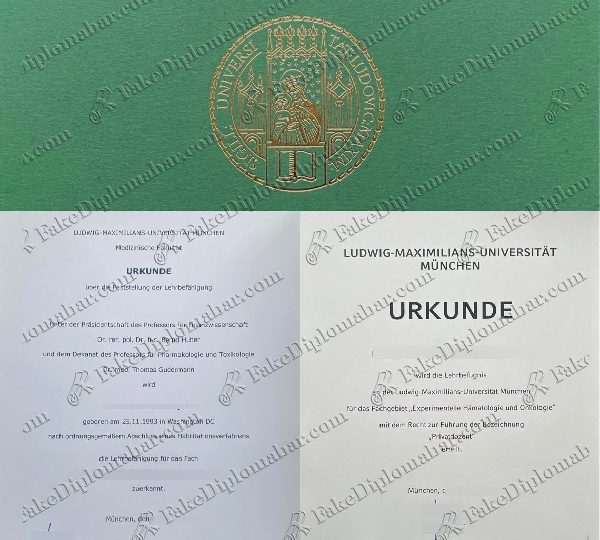DER EINFACHE WEG ZUM DIPLOM DER LUDWIG MAXIMILIANS UNIVERSITÄT MÜNCHEN EN ALTAFULLA