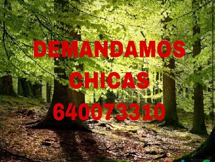 DOS PLAZAS DISPONIBLES CON TURNO DE DIA. EN VALENCIA