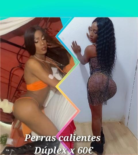 DUPLEX CON PERRITAS ARDIENTES X 60€ EN VALENCIA