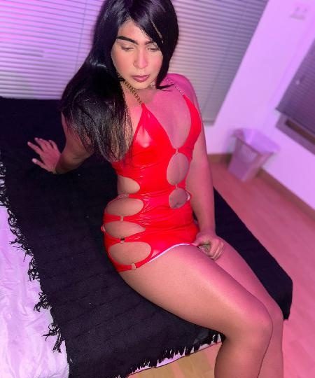 EMPOTRAME EN LA CAMA A CUATRO PATITAS EN VALENCIA