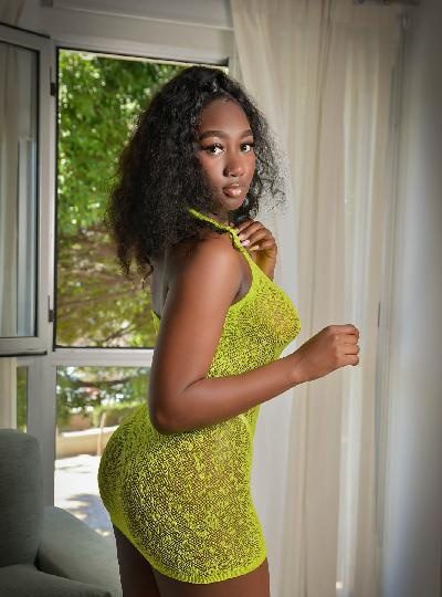 EN BUSCA DE UN HERMANASTRO