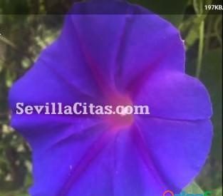 ENCARGADA ESPAÑOLA RELAX 18 AÑOS DE EXPERIENCIA EN SEVILLA