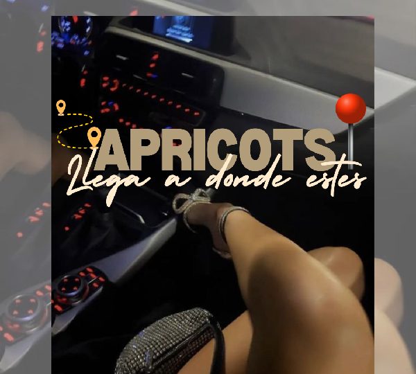 ENCUENTRAN SU MEJOR COMPAÑÍA. EN BARCELONA