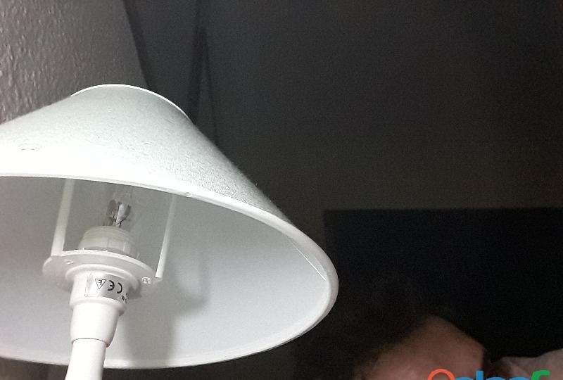 ESPLÉNDIDO WOMPIS EN VALENCIA