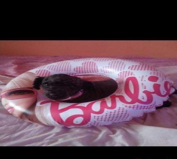 ESTOY SIN DINERO POR EN POZOBLANCO