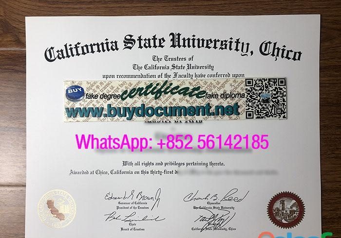 FAKE CHICO STATE DIPLOMA FOR SALE EN ESPAÑA