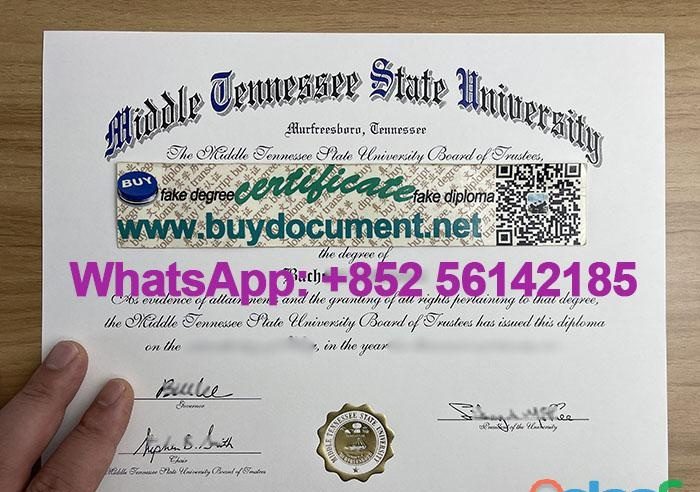 FAKE MTSU DIPLOMA FOR SALE EN ESPAÑA