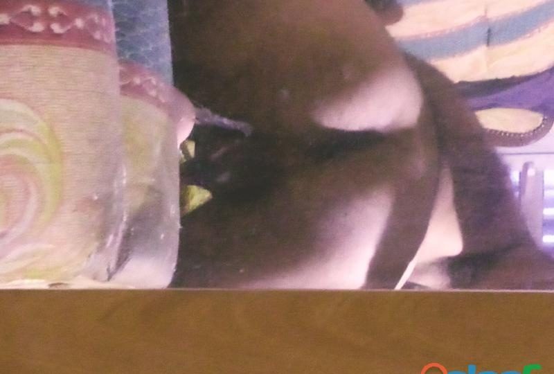 FOLLAME. AHORA MISMO O CHATEAMOS I TE ENSENO LO QE QUIERAS EN CÁCERES