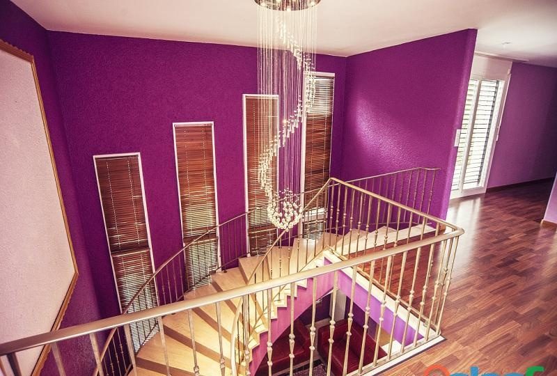 GIRLS DELUX SUIZA EN ESPAÑA