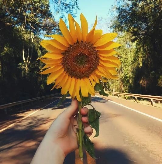 HABITACIÓN EN VILLAGARCIA DE AROUSA CENTRO EN VILAGARCÍA DE AROUSA
