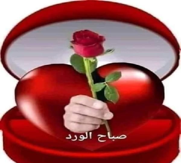 HAMID EL BUENO11112 EN ESPAÑA