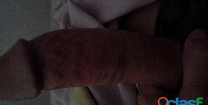 HOLA SOY ASTIVO EN VILLAVA EN ESPAÑA