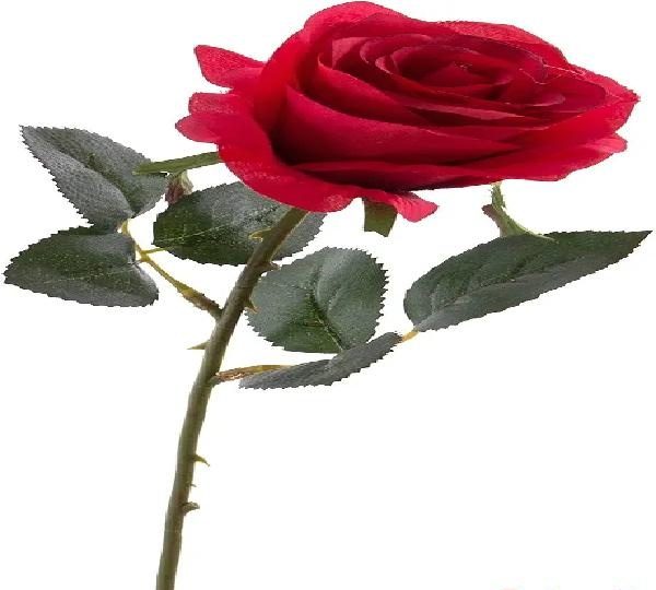 HOLA SOY UN CHICO EN TORTOSA