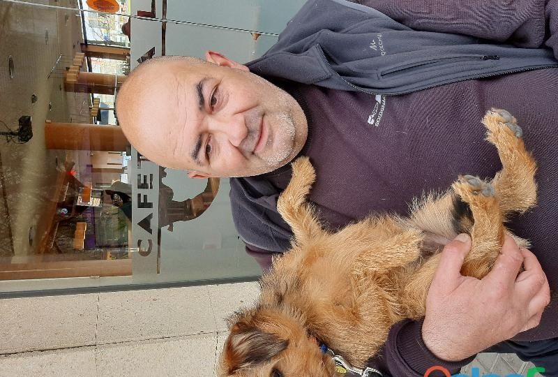 HOMBRE MADURO GORDITO I BELLUDO BSCO CHICA JOVEN EN GIRONA