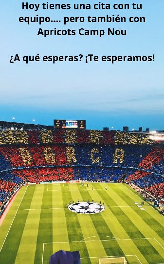 HOY PARTIDO DEL BARÇA.... Y DESPUÉS APRICOTS CAMP NOU EN BARCELONA