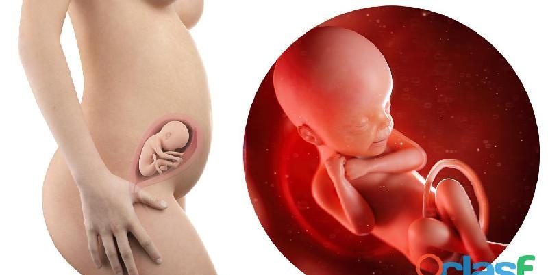 INSEMINACIÓN DE EMBARAZO. OFREZCO MI SEMEN EN SANTA FÉ