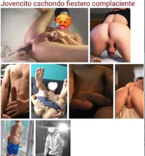 JOVENCITO EN VILLARCAYO EN VILLARCAYO DE MERINDAD DE CASTILLA LA VIEJA