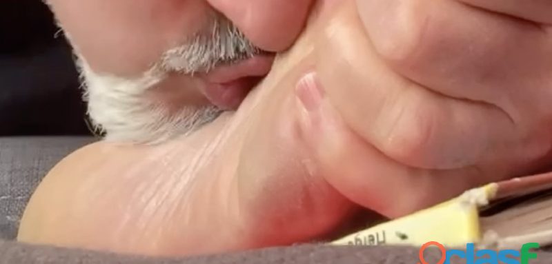 LAMO PIES A JOVEN MAX 20A EN TARRAGONA