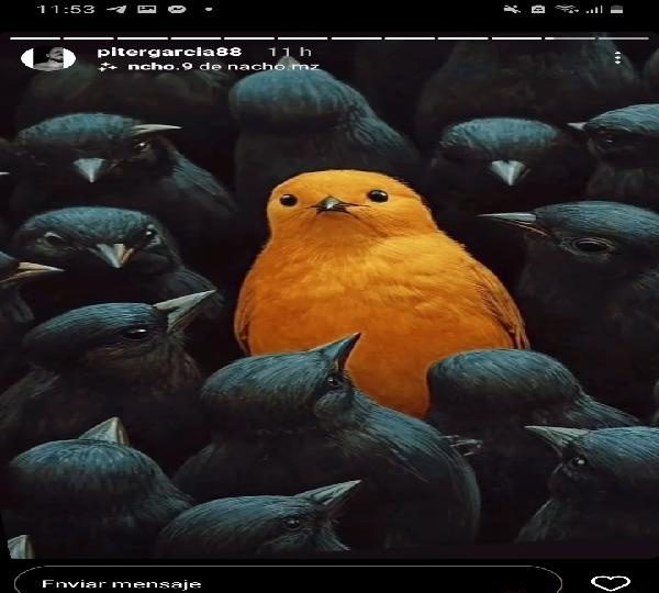 LLEGA SAN VALENTIN IOL EN POZOBLANCO